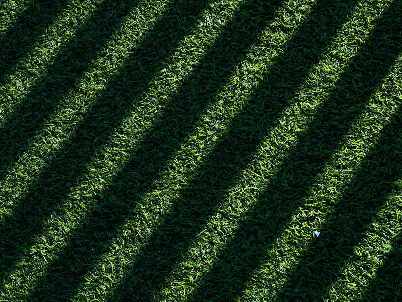 Diagonal mower stripes catching afternoon light on a freshly cut lawn.