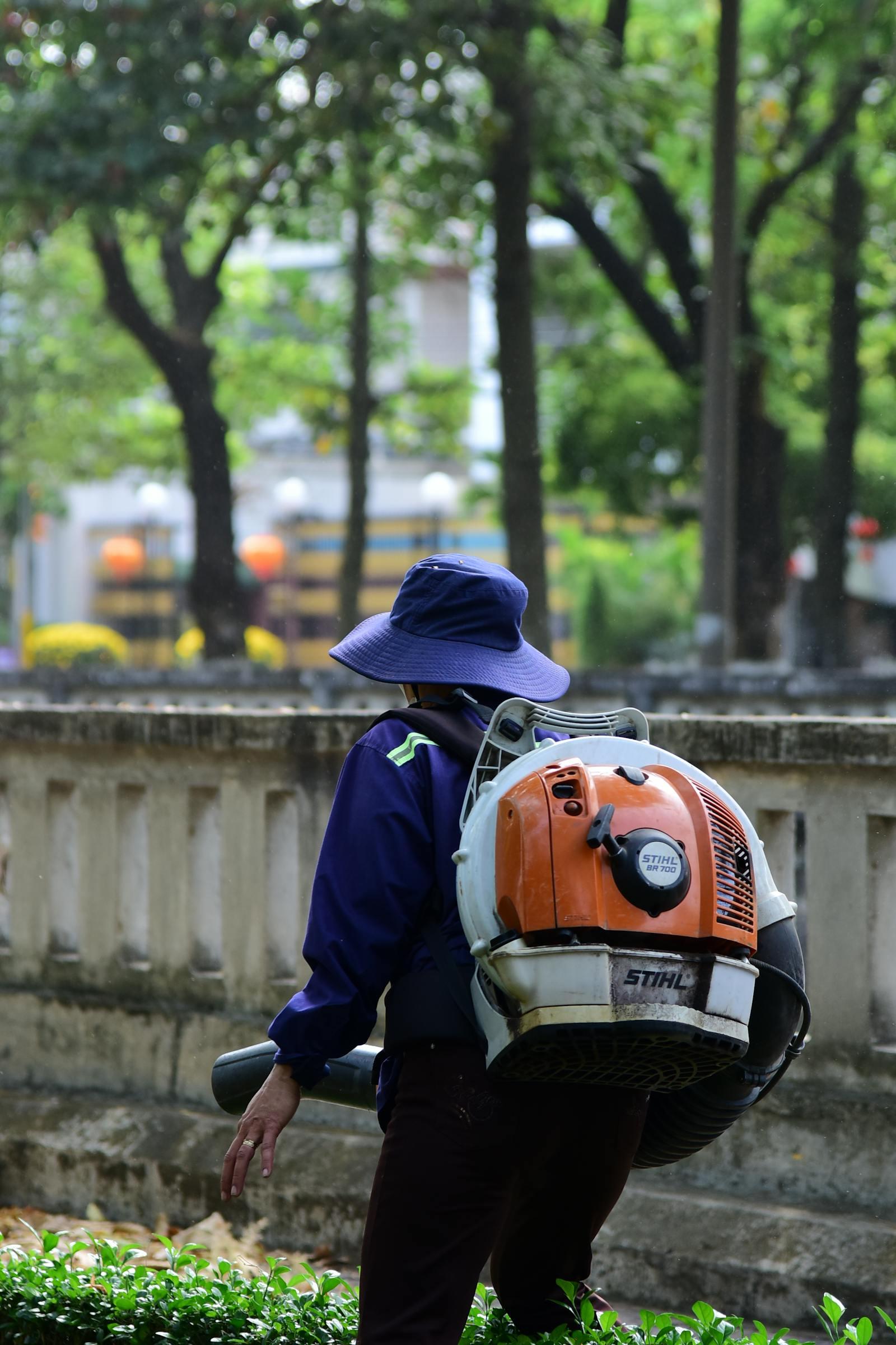 Backpack-blower clearing live-oak leaves into a tidy pile on a residential lawn.